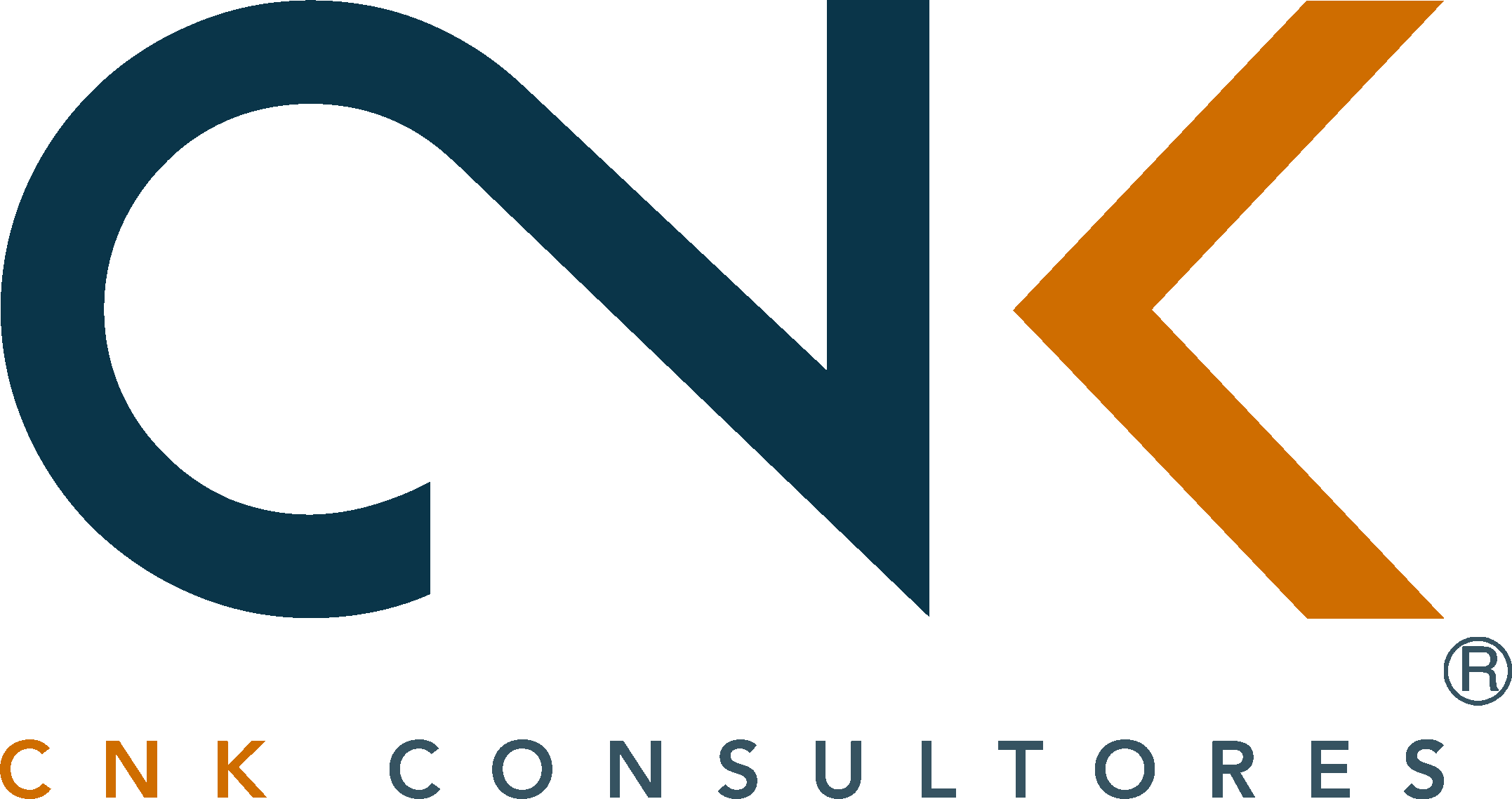 Cliente net2phone - CNK Consultores - 